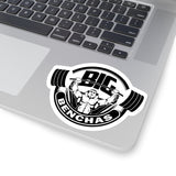 Big Benchas Kiss-Cut Stickers - Big Benchas